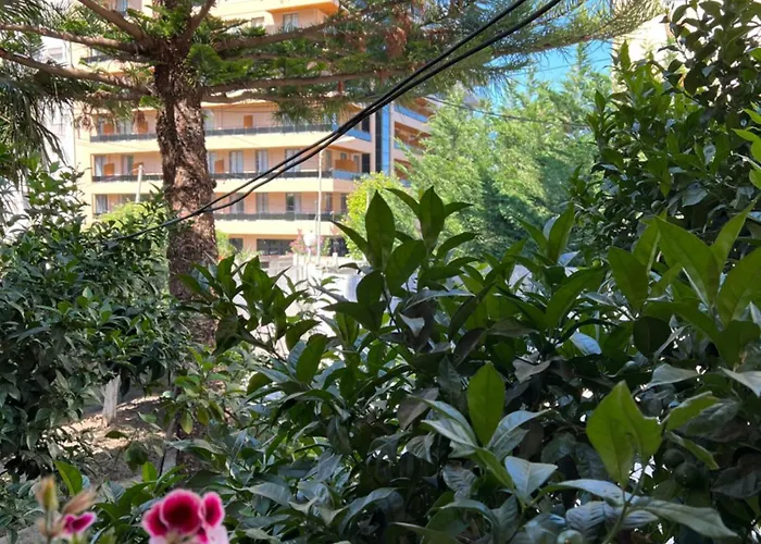 Villa Green 3*